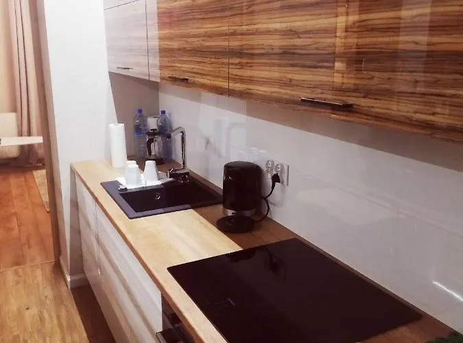 普利兹吉姆纳内公寓 *